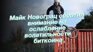 Майк Новограц обратил внимание на ослабление волатильности биткоина