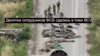 Курская битва: десятки сотрудников ПГС ФСБ сдались в плен ВСУ, местные жители обращаются к Путину...