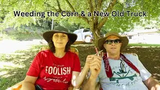 Matt Bought His Old Truck, Tending the Corn, & Miss Cindy's Been Gone a Year