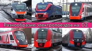 Большое разнообразие электропоездов МЦД-2 от ЭП2Д до Иволг 1.0/2.0 и Ласточек (РЖД и в ливрее МЦД)