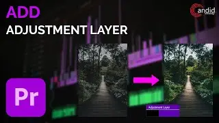 How to Add an Adjustment Layer in Premiere Pro? | Candid.Technology