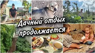 🥰🏡Отпуск продолжается.Я немного дачник😃 Собираю малину, мою посуду. Вечерняя прогулка.