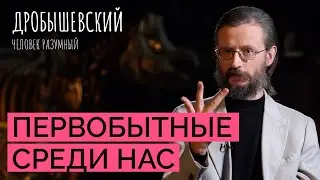 Как живут современные первобытные люди из Танзании // Дробышевский