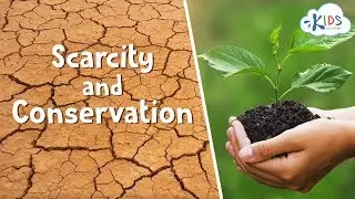 Saving Earth's Resources | How to Conserve Natural Resources: Water, Air, and Land | Kids Academy