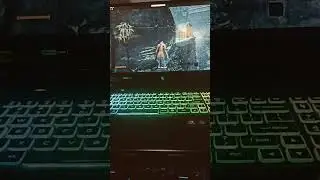 Sekiro Shadow Die Twice 2023 on Acer Nitro 16 2023