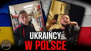 Ci Ukraińcy UPOKARZAJĄ Polskę W Internecie Ciekawy film o życiu