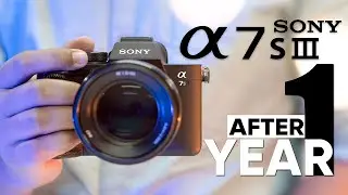 Sony a7S III - Experience After One Year of Use