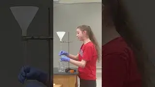Steady state vs equilibrium demo test