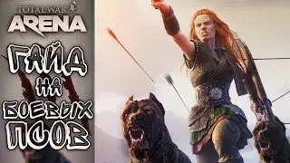 Total War: Arena — Гайд на боевых псов [ЧАСТИЧНО УСТАРЕЛО]