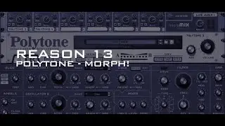 Reason 13 Polytone Morph