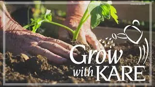 Grow with KARE | Gardening in a cool, wet spring