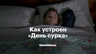 Как устроен «День сурка»