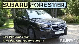 Subaru Forester: чем дальше в лес, тем больше удовольствие