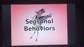 Seasonal Behavior