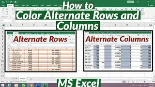 How to Apply Color to Alternate Rows And Columns in MS Excel | Apply shading To Alternate Rows