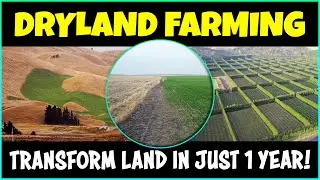 How to convert Dry land into Fertile Land | Farming in Barren Land