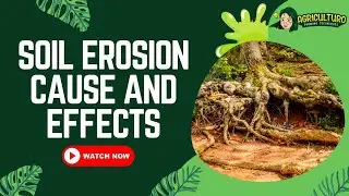 Soil Erosion: Cause and Effects