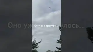 Оно уже проснулось!