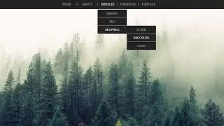 CSS Dropdown Menu Hover Animation