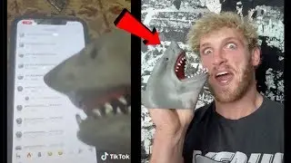 Logan Paul is the Shark Puppet.. (FACE REVEAL)