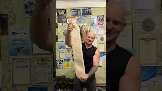 АЛЬБЕРТОВИЧ  и Супер ГРЕЛКА 🤣