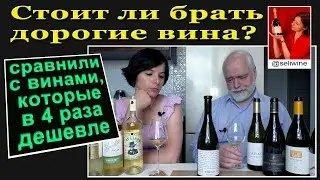 Стоит ли брать дорогие вина? Сравнили с теми, которые в 4 раза дешевле