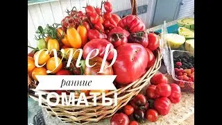 Дачные сезоны с Мариной Рыкалиной