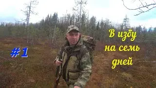 Пошел прогуляться/остался на неделю/душевный отдых в таежной избе/1 серия