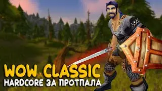 WoW Classic - Тот самый бессмертный паладин на Hardcore