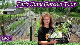 Early June Tour of my Vegetable and Flower Garden