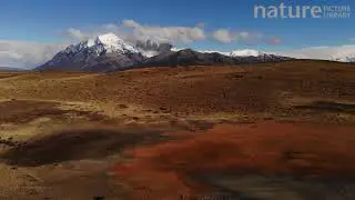 Aerial shot looking over Torres del Paine National Park, showing Torres del Paine peaks in the backg