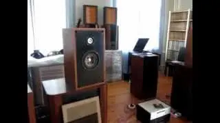 Audio Note Kondo speakers