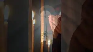 Почему пуста могила Роми ШНАЙДЕР? 