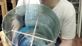 Как сделать ловушку из бутылки для поимки пчелиного роя