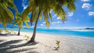 Relaxing Beach Bossa Nova Music with Stunning Beach Scenes & Ocean Waves for Good Mood