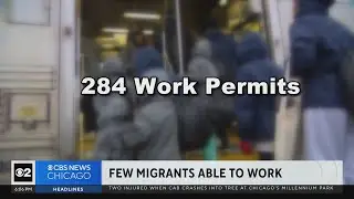 Just a fraction of migrants living in Chicago have received work permits