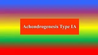 Achondrogenesis Type IA