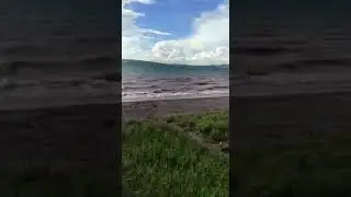 12 августа 2017 г.