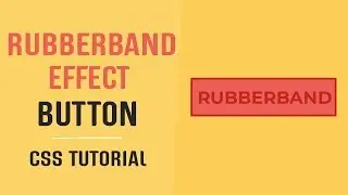 Rubberband Effect On Hover Button | CSS Button Hover Effects | CSS Tutorial