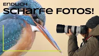 10 Tipps für scharfe Fotos