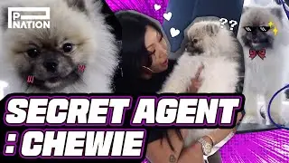 'JESSLIFE' (JessiTV) ep 8: Secret Agent Chewie