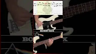 Green Day - Bobby Sox | Bass Cover (+ Tab)| SHORTS | Dotti Brothers #basscover #bassplayer #shorts