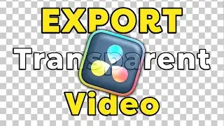 How to Export Transparent Video In Davinci Resolve [UPDATE]