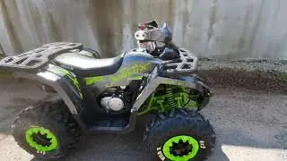 Квадроцикл MOTOLAND WILD X 125cc (мотокомплект)