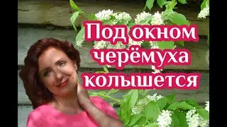 ❤️Под окном черёмуха колышется - Поёт Юлия Боголепова