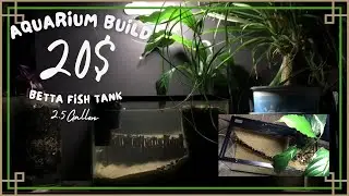 Awesome 20$ Betta Tank Build