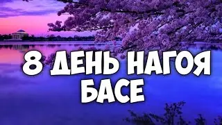 8 день июльского турнира Нагоя Басё 2 элитный дивизион дзере накаби серединный день