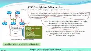 OSPF Neighbor Adjacencies !! Components of Hello protocol !! Router ID!!Area ID!!Router priority !!