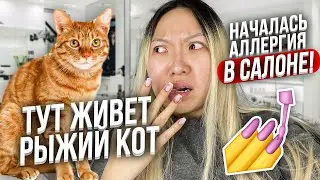 *пришла на маникюр и началась аллергия* Проверка САЛОНА КРАСОТЫ В МОСКВЕ! |NikyMacAleen