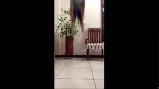 SuperBaby Jump